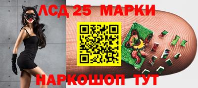 мдпв Донской