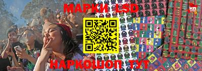 PSILOCYBIN Дубна