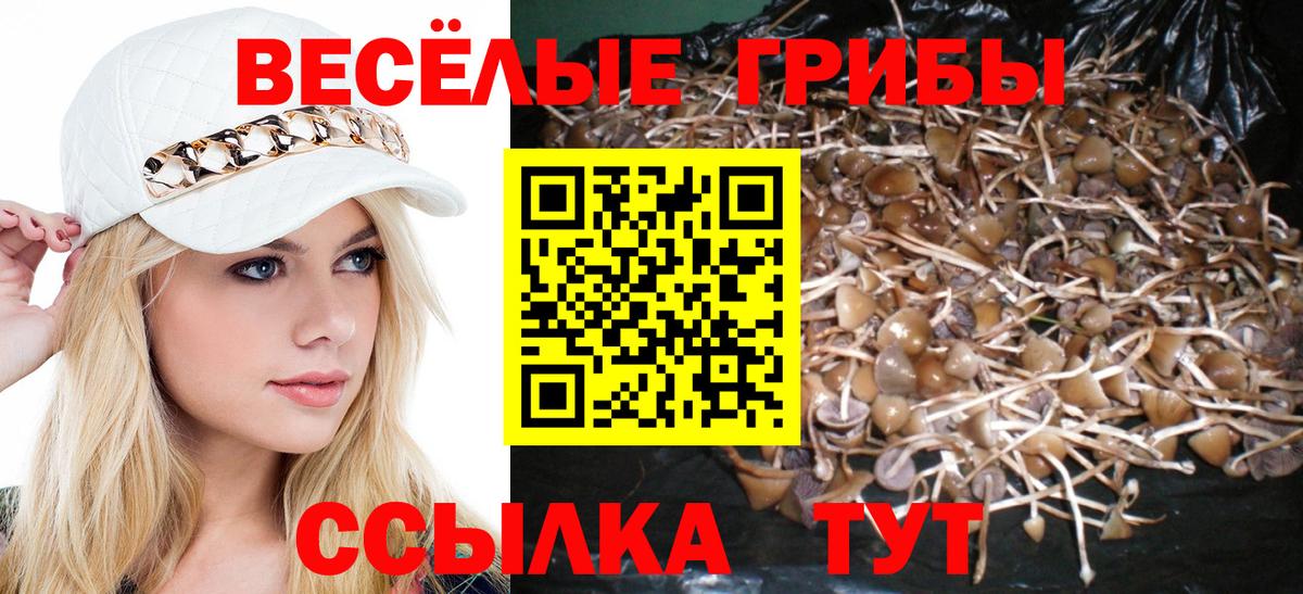 Новочеркасск  Вход с VPN  МЕФ кристаллы  МДМА  Экстази  Гашиш  Канабис 