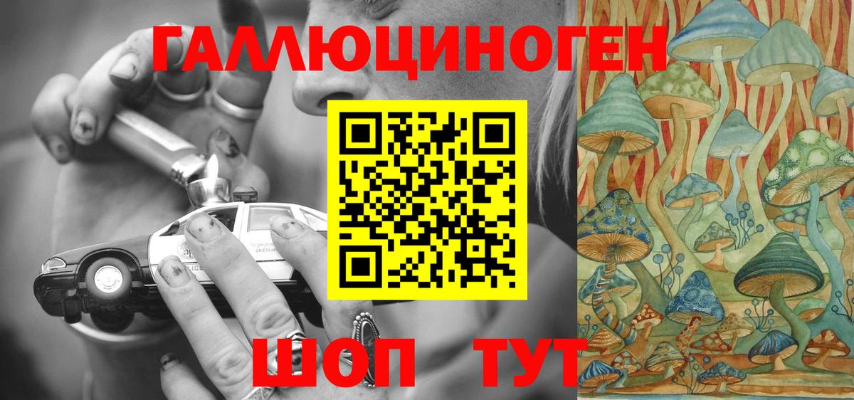 Псилоцибиновые грибы Psilocybe Новочеркасск