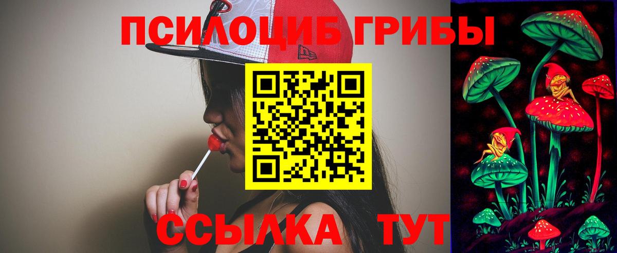 как найти закладки  Псилоцибиновые грибы Psilocybe  Вход с VPN  Новочеркасск 